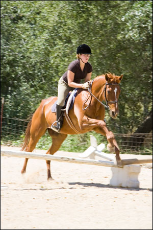 angelahorse11.jpg
