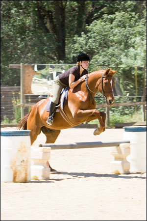angelahorse3.jpg